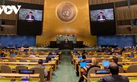 Reforma del Consejo de Seguridad es un tema cada vez más urgente, afirma embajador vietnamita