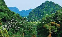 El parque de aves Thung Nham