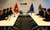 Vietnam y Europa impulsan cooperación para combatir fraudes comerciales