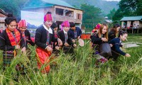 Localidades en el Norte de Vietnam celebran festivales de “ir al campo“