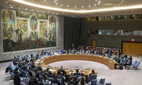 Reino Unido apoya a África para puesto permanente en Consejo de Seguridad de la ONU