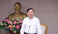Vicepremier preside encuentro sobre integración económica de Vietnam al mundo
