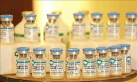 Vietnam exporta vacuna contra la peste porcina africana por primera vez