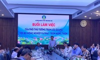 Piden mayores esfuerzos para cultivar un millón de hectáreas de arroz orgánico en el delta del Mekong