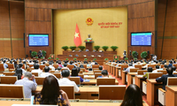 Asamblea Nacional de Vietnam vota el presupuesto estatal provisional para 2024