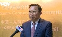Expertos chinos esperan una cooperación más dinámica con Vietnam con motivo de la visita del presidente Xi Xinping