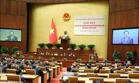 Vietnam: Promover una diplomacia profesional y moderna