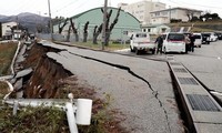 No se reportan víctimas vietnamitas en el terremoto de Japón 