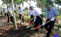 Localidades vietnamitas celebran Festival de Plantación de Árboles 