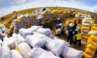 Vietnam comprometido a seguir contribuyendo a la seguridad alimentaria mundial