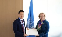 Vietnam quiere seguir promoviendo cooperación con ONU