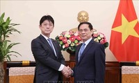  Canciller vietnamita elogia avances de cooperación Vietnam-Japón