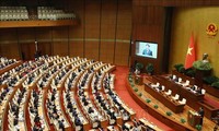 Comité Permanente de la Asamblea Nacional convoca sesión extraordinaria