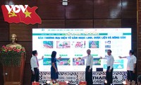 Promueven el ginseng Ngoc Linh en plataforma de comercio electrónico