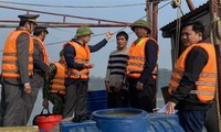 Gobierno de Vietnam adopta programa de acción contra la pesca ilegal, no declarada y no reglamentada 