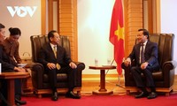 Viceprimer ministro Le Minh Khai se reúne con socios japoneses