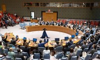 ONU elige cinco nuevos miembros no permanentes del Consejo de Seguridad