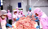 越南力争2012年出口茶鱼20亿美元