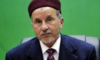 利比亚选出“过渡委”执行委员会主席
