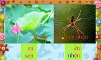 越南语讲座：拼读的第三节