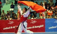 越南队夺得2016亚洲跆拳道锦标赛两枚金牌