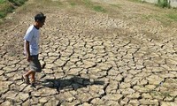  欧盟将向越南克服旱灾和咸潮入侵影响提供人道援助