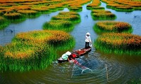 越南力争2020年接待1300至1500万人次国际游客