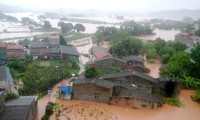 越南克服台风“电母”影响