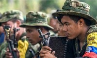 哥伦比亚敦促联合国及早派员监督停火协议
