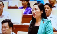 越南第14届国会第2次会议讨论《刑法修正案（草案）》