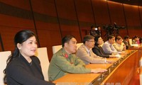 越南国会表决通过五年财政计划决议