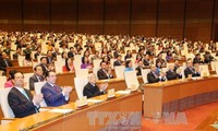 越南国会活动中的革新、团结和创新精神