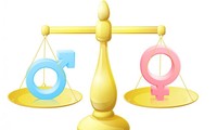 提高对性别平等认识的对话会在河内举行