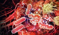 瑞士科学家宣布培育出针对癌症的人造病毒