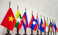 越南与东盟成员国并肩前进22年