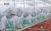 亚洲成为越南虾行业的销售市场
