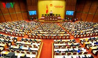 越南国会继续讨论经济社会问题