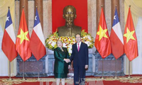 继续加强越南智利全面合作关系