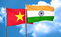 越南和印度全面战略伙伴关系日益强劲发展