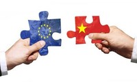 欧盟对越南通过有关劳动公约的路线图表示欢迎
