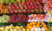 越南语讲座：Ở chợ hoa quả 在水果市场