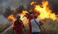 希腊森林火灾遇难人数升至74人 全国哀悼3天