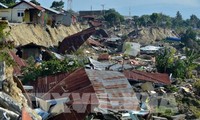 越南帮助印度尼西亚克服地震海啸影响