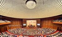 越南国会讨论《特赦法修正案（草案）》和《饲养法（草案）》