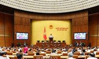 越南国会讨论经济社会多项重要内容