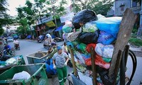 越南第一次塑料垃圾图片展举行