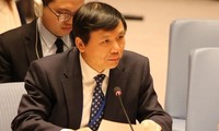 越南在联合国安理会关于妇女、和平与安全的公开辩论会上积极建言献策