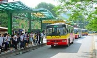 越南语讲座：Đi xe buýt 乘公交车