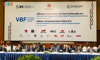 越南政府承诺与外资企业并肩前进