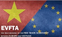 企业主动参与实施EVFTA